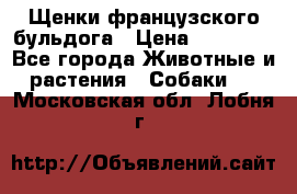 Щенки французского бульдога › Цена ­ 30 000 - Все города Животные и растения » Собаки   . Московская обл.,Лобня г.